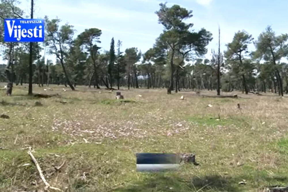 park šuma zlatica, Foto: Printscreen (TV Vijesti)