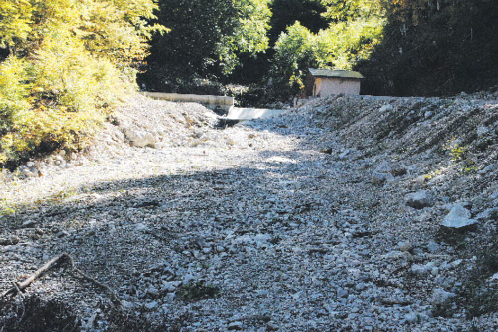 Perućica, Foto: NVO Perućica