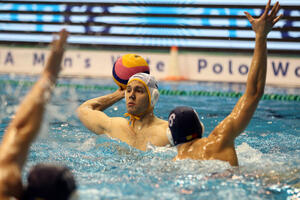 Meč karijere Đurđića za peto mjesto "ajkula", Hrvatska šampion