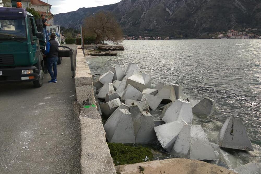 Bokobran, Foto: Facebook.com