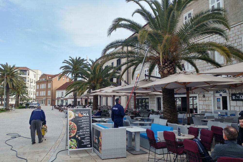 surlaš, Tivat, Foto: Siniša Luković