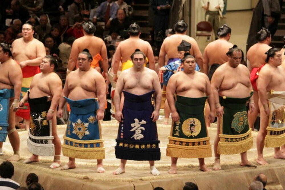 sumo, Foto: Printscreen