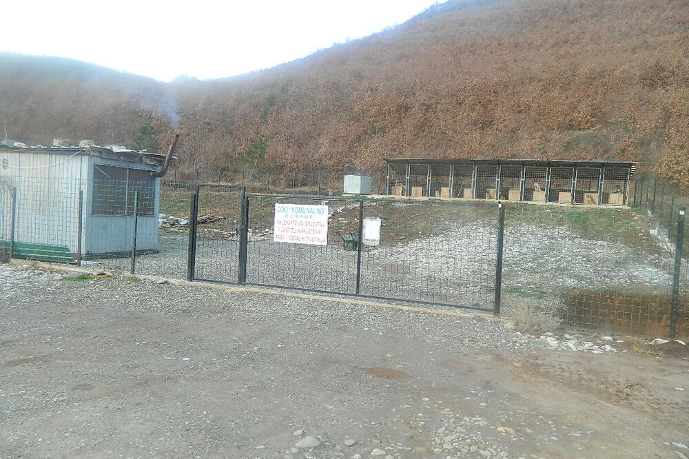 azil Berane, azil za pse Berane, Foto: Tufik Softić