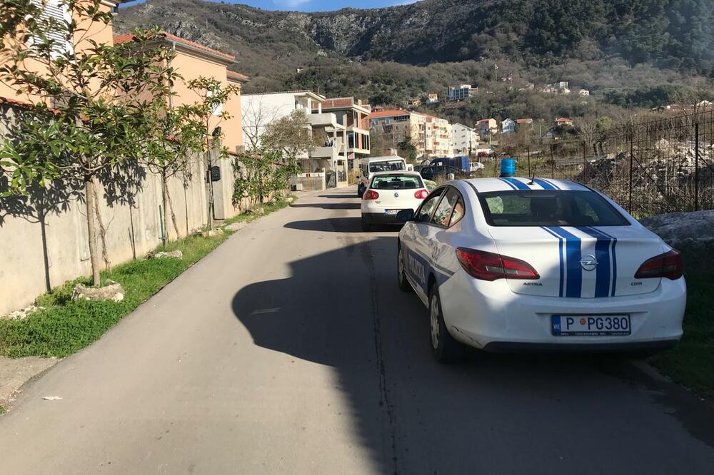 Jovo Mitrović, Foto: Vuk Lajović