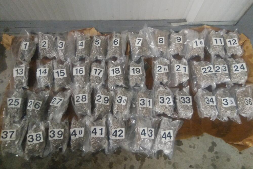 Debeli brijeg marihuana, Foto: Uprava carina