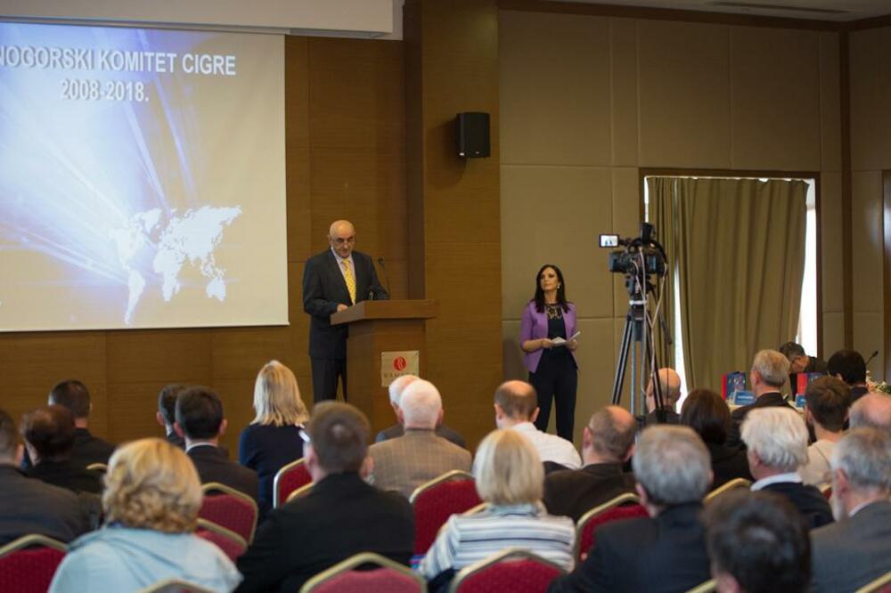 CIGRE, Komitet CIGRE, Foto: PR Centar