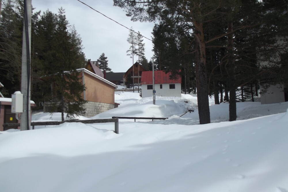 Žabljak, Pećića ograda, Foto: Obrad Pješivac