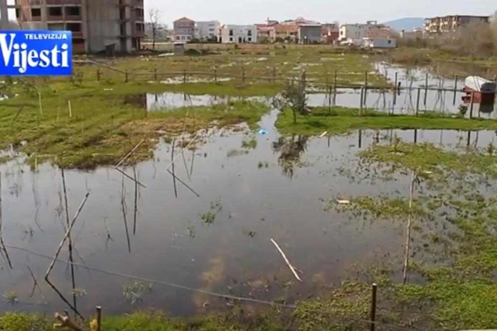 Štoj fekalije, Foto: Screenshot (YouTube)