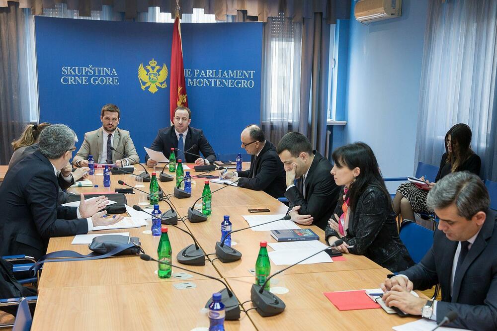 Odbor za međunarodne odnose i iseljenike, Foto: Gov.me