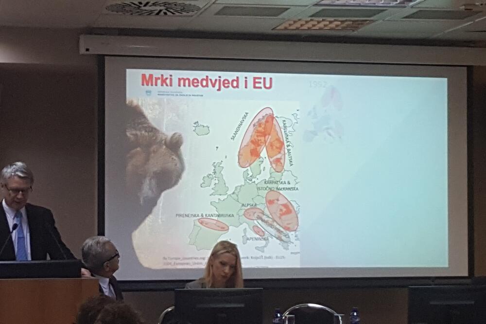 Međunarodna konferencija o upravljanju populacijom mrkog medvjeda, Foto: Parkovi Dinarida