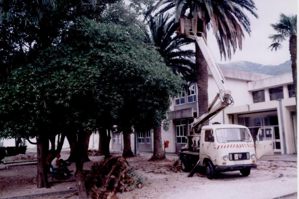 OŠ Orjenski bataljon, Foto: Slavica Kosić