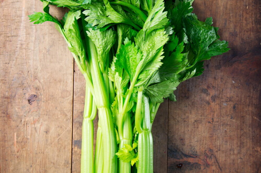 celer, Foto: Shutterstock