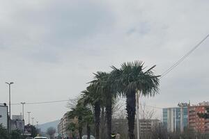 Čitaoci šalju: Automobilom vozio po biciklističkoj stazi