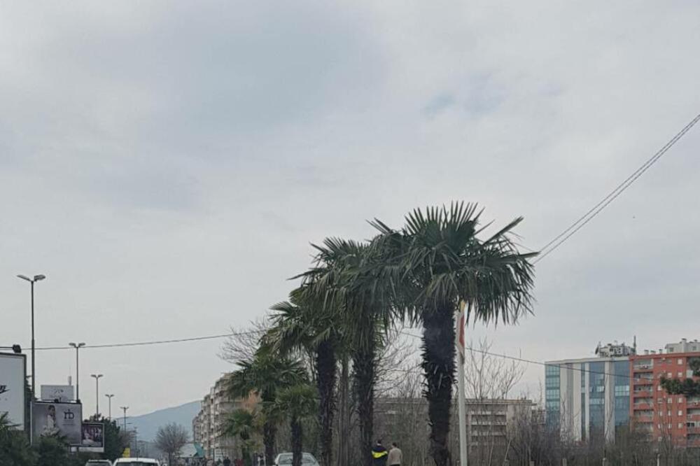 auto, biciklistička staza, Foto: Čitalac "Vijesti"