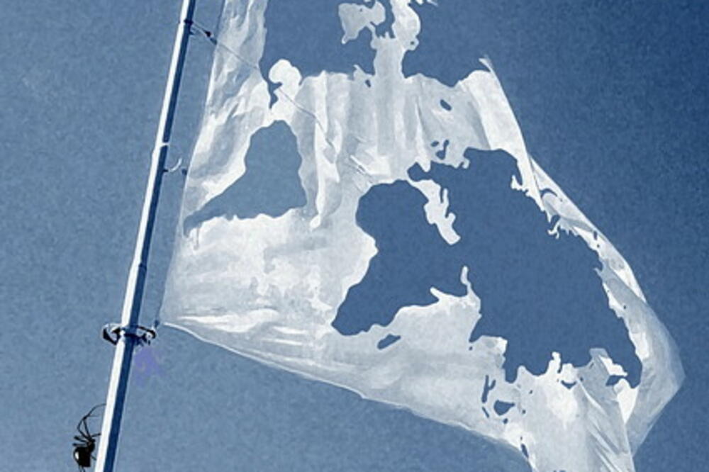 Luc O-SEKOER, Belgija, Foto: Bestcartoons.net