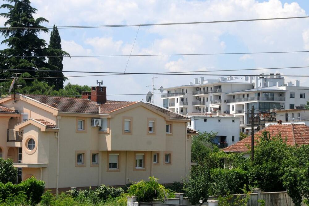 gorica, Foto: Boris Pejović