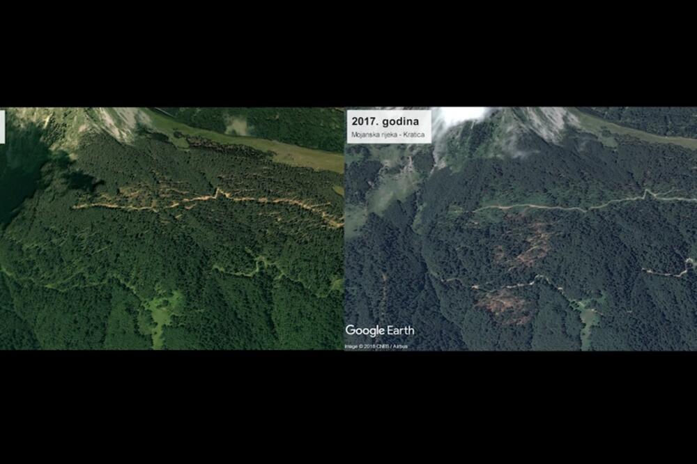 sječa šuma, Foto: Printscreen