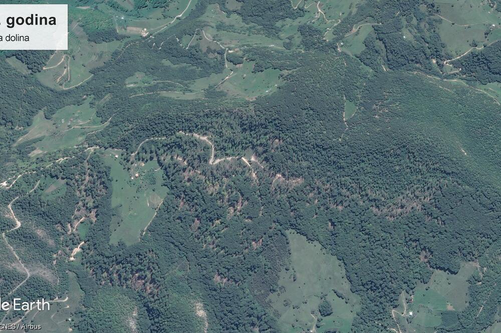 Vraneška dolina šume, Foto: CZIP