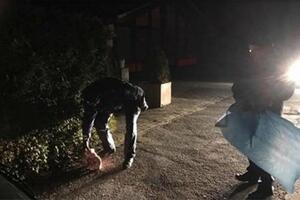 Pred džamiju u njemačkom gradu Gronau ostavljena svinjska glava