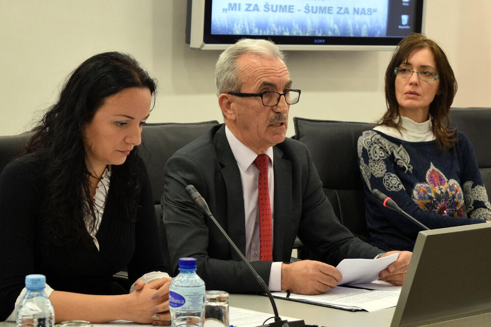 Mi za šume - šume za nas, Foto: Luka Zeković