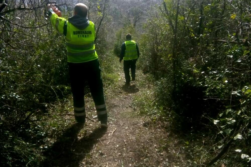 Komunalno Tivat, Foto: Komunalno Tivat