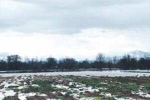 Zbog kiše kasni sjetva, biće skuplja pijaca