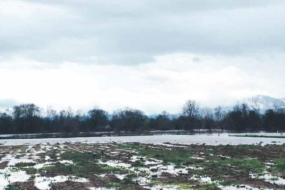 Zasadi Alberta Camaja, Foto: Privatna arhiva