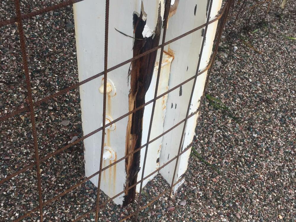 Djevištenje nevrijeme