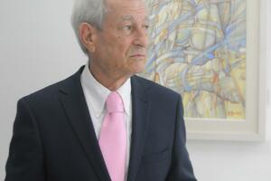 Crnogorski volšebnik