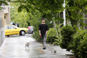 U Teheranu je zabranjeno šetati psa na javnim mjestima
