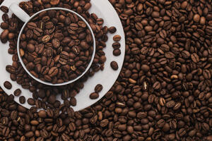 Kako sve možete iskoristiti talog od kafe