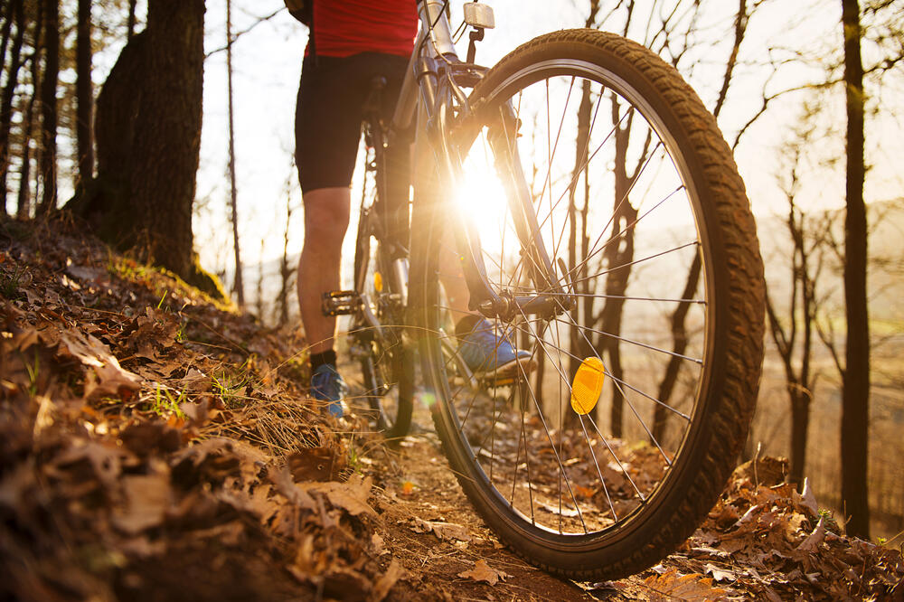 biciklo, Foto: Shutterstock