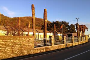 Tivat: Uništeno 80 velikih kanarskih palmi