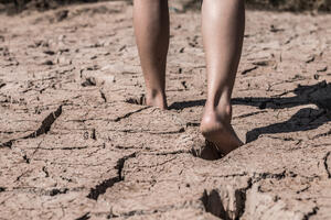 Suša u Južnoj Africi proglašena nacionalnom katastrofom