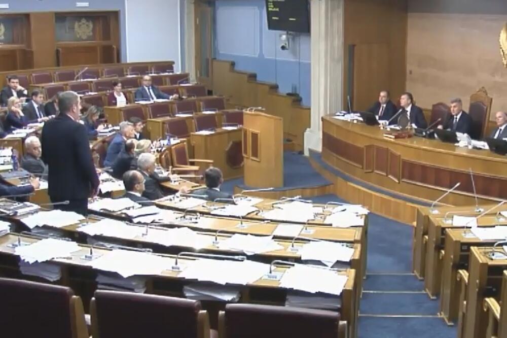Skupština Crne Gore, Foto: Printscreen