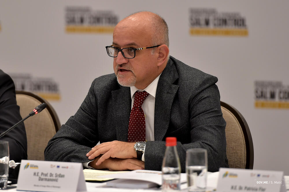 Srđan Darmanović, Foto: Ministarstvo vanjskih poslova