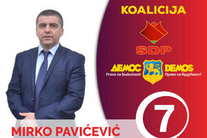 Pavićević: Pozivamo građane i birače SDP-a da pomognu Demokratama...