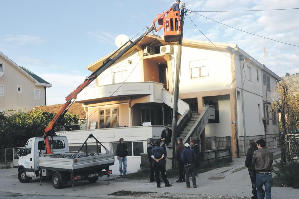 Cedis, Foto: Arhiva Vijesti