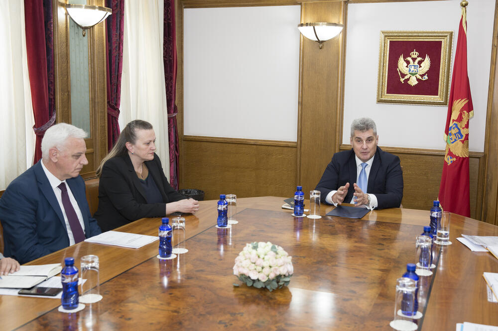 Konsultativno saslušanje na temu "Ostvarivanje dječjih prava u romskoj zajednici u Crnoj Gori", Foto: Skupština Crne Gore