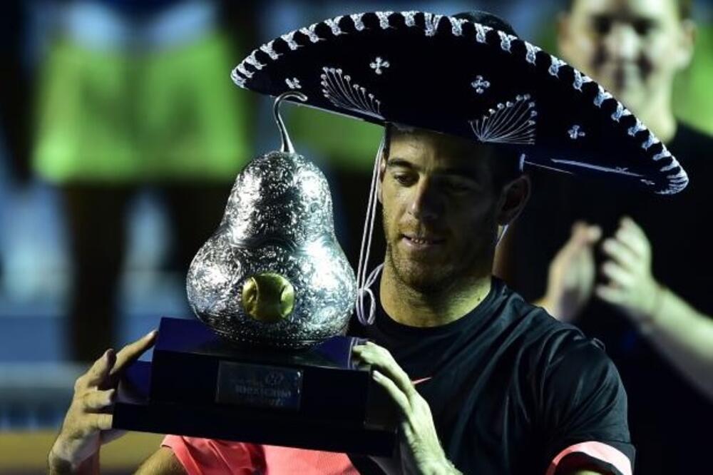 Huan Martin del Potro, Foto: Printscreen