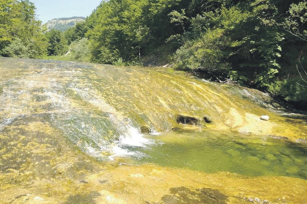 Bukovica, Foto: Slavko Radulović