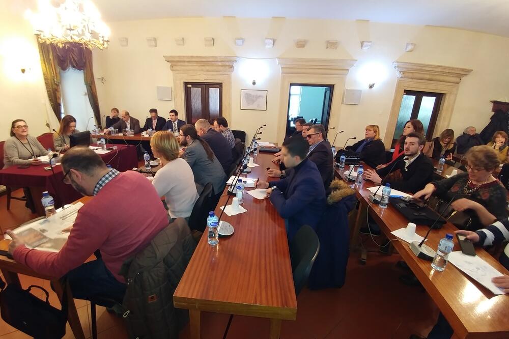 sjednica skupštine opštine kotor, Foto: Siniša Luković