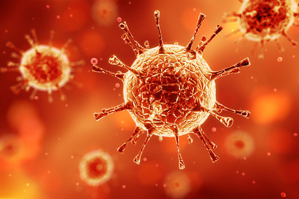 virus, Foto: Shutterstock