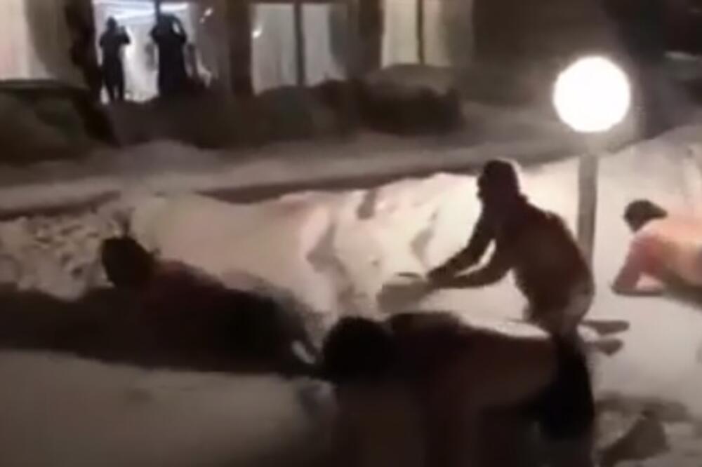 Karići u snijegu, Foto: Printscreen