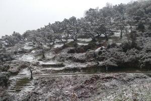 Snijeg padao i u Tivtu, ali se nije zadržao