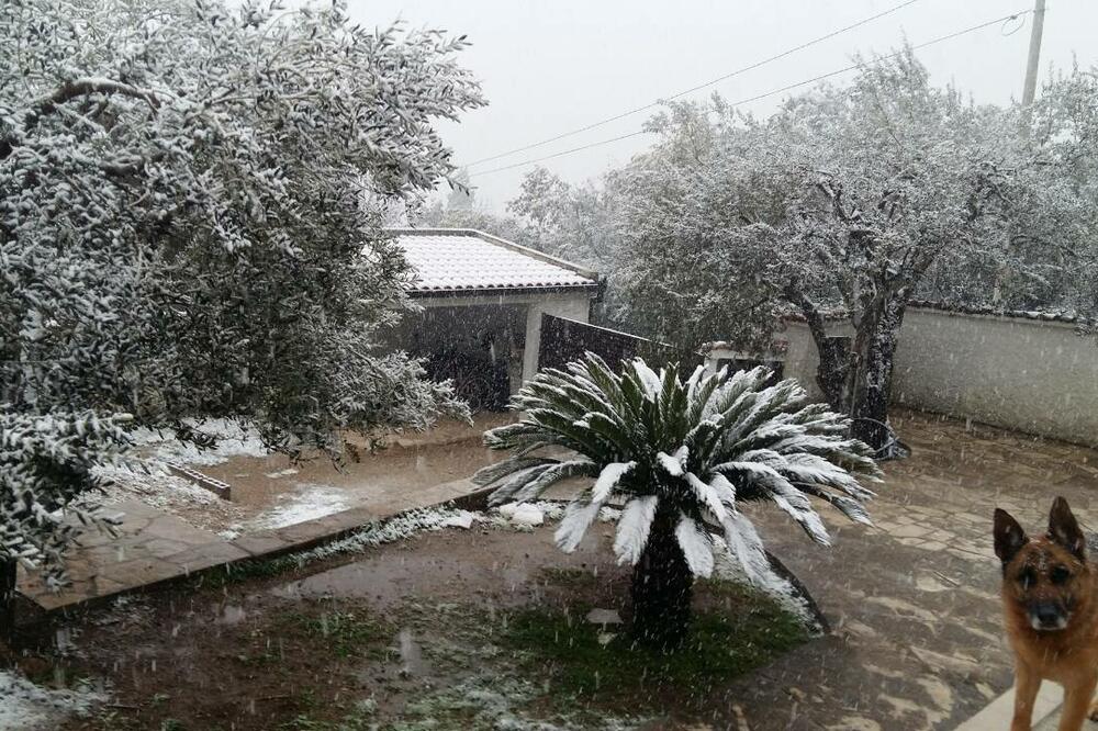 Baošići, snijeg, Foto: Slavica Kosić