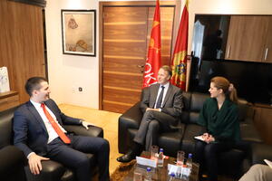 Bečić: Strategija o proširenju politička omča DPS-u