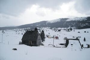 Subvencije za mlijeko 70.000 eura