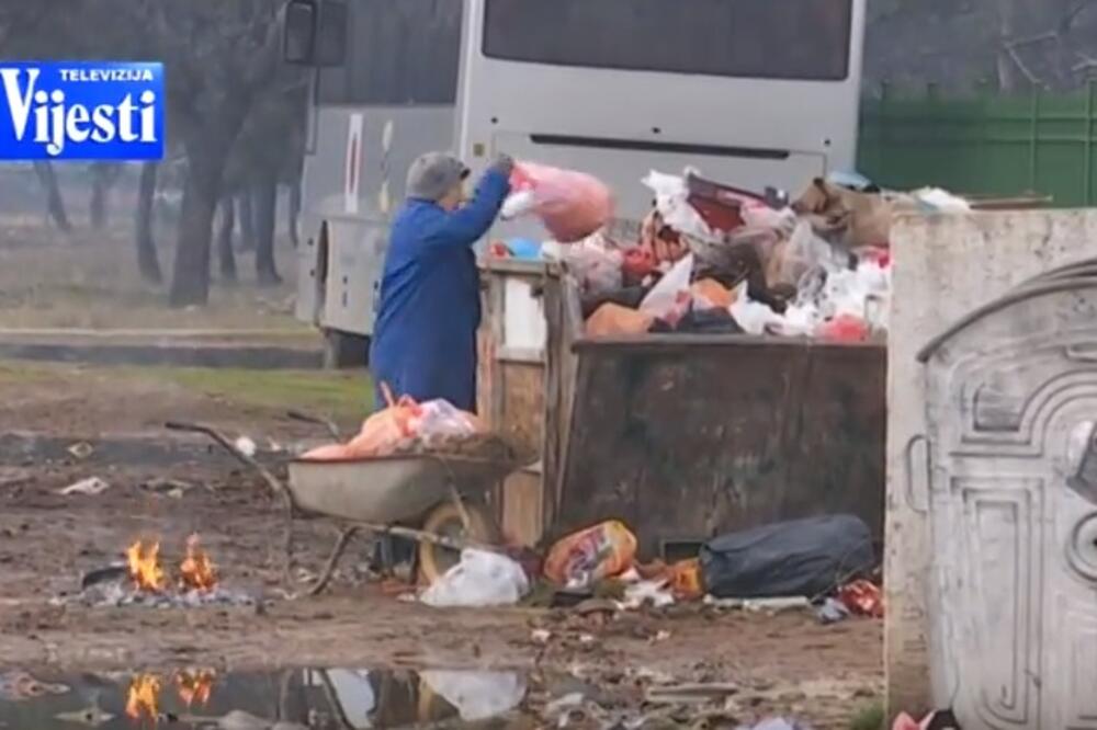 Konik, otpas, Foto: Screenshot (YouTube)