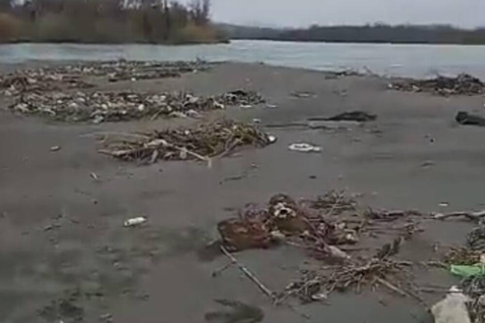 Ada Bojana smeće, Foto: Privatna arhiva